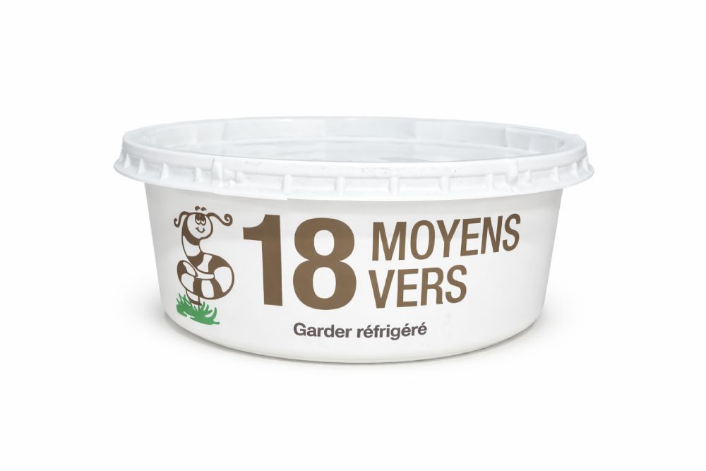 vers de terre moyens - format 18