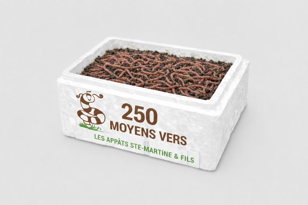 vers de terre moyens - format 250