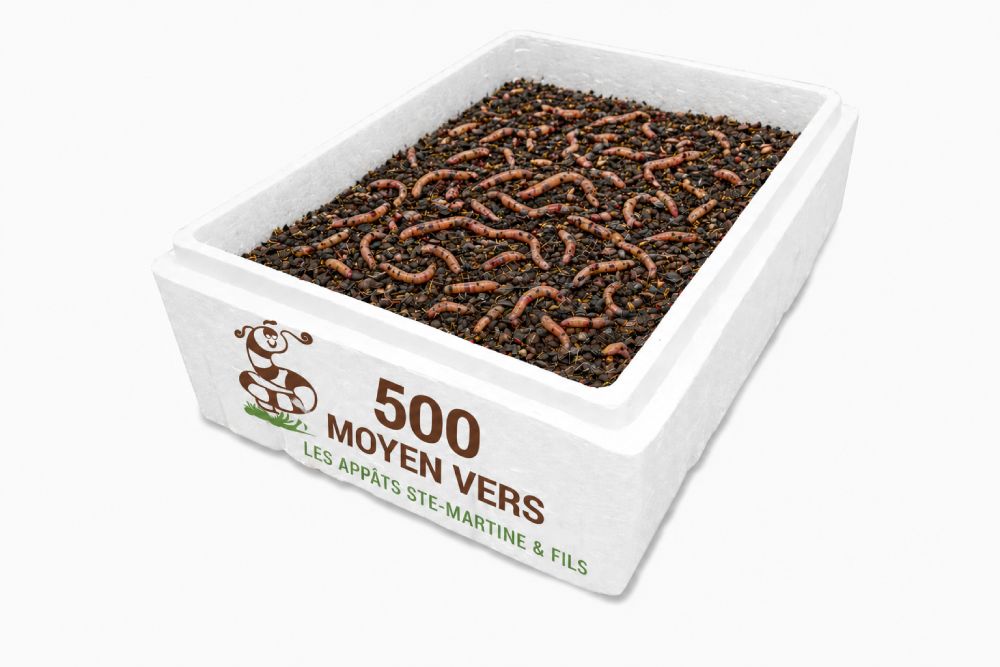 vers de terre moyens - format 500