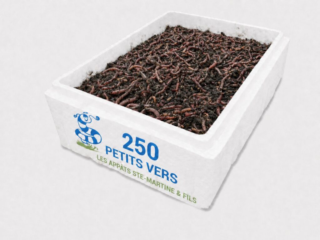 vers petits format 250